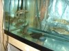 DSC01638.JPG