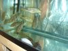 DSC01640.JPG