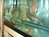DSC01641.JPG