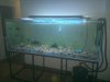 T1 - 002 - 1st Week Populated.jpg
