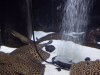 100_3940.JPG