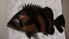 DSC01788.JPG