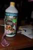 DSC_0102.jpg