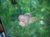 DSCN3780.JPG