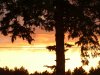 100_1169.JPG