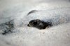 DSC_0769.JPG