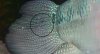 P1020159.JPG
