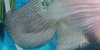 P1020167.JPG