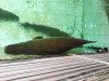DSC00513.JPG