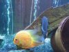 100_1046.JPG