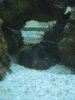 IMG_2549.JPG