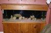 DSC09463.JPG
