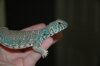 DSC_0406.JPG