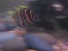 Camera2 535.jpg