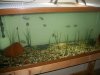RiverGrass-3.jpg
