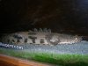DSCN5412.JPG