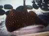 100_4689.JPG