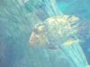 000_0189.JPG