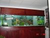 DSC06679.JPG