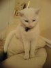 DSC00267.jpg