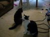 DSC00095.JPG