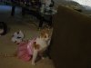 DSC00113.JPG