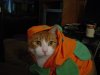 DSC00111.JPG