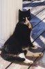 000_0542.JPG