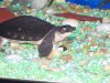 100_1625.JPG