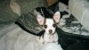 Baby Rasco (3).JPG