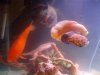underwaterworld.JPG underwaterworld.JPG