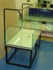 DSC02861.JPG