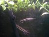 IMG_20110718_151543.jpg