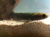 IMG_0049.JPG IMG_0049.JPG
