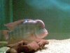 26102009_007_.jpg