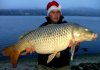 38lber 2.jpg