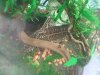 2011-07-23 15.21.54.jpg