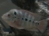 DSC03477.JPG