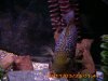 HPIM0241.JPG