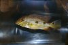 DSC04155.JPG