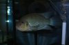 DSC04183.JPG