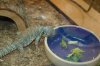 DSC_0065.JPG