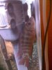 IMG_0387.jpg IMG_0387.jpg