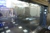 DSC08505.JPG
