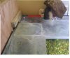 fish tank1.JPG