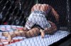 henderson_fedor_finish.jpg