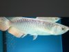 2011-08-04171756.jpg