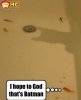 funny-fish-batman-pictures.jpg