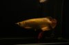 DSC05746.jpg