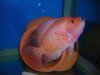 DSCN1493.JPG